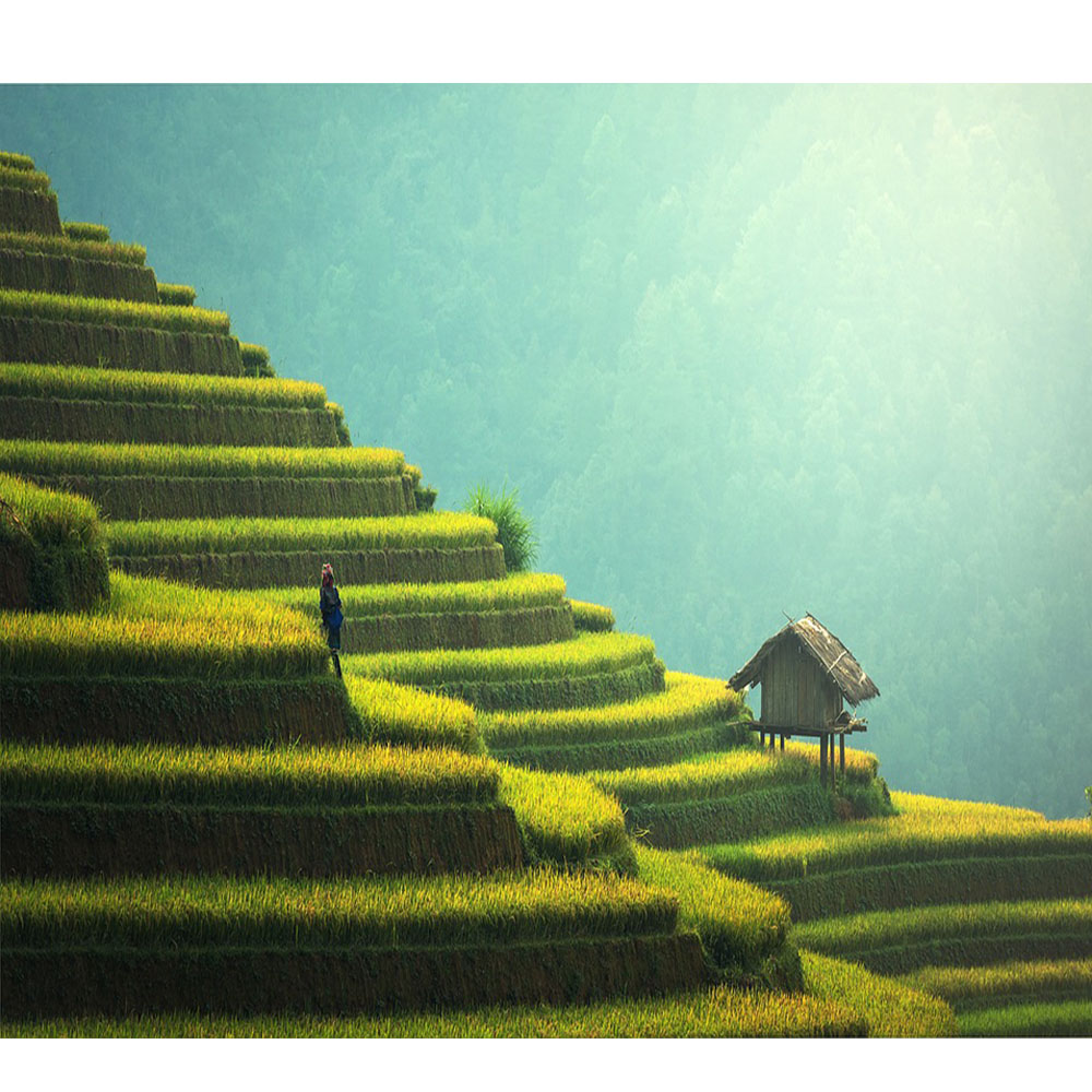 Sasint-Malaysia-Pixabay.com