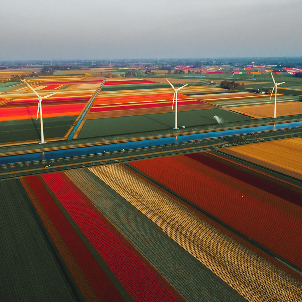 redcharlie-Netherlands-Unsplash.com